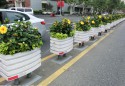 景观花箱为城市环境添彩