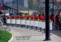 安徽合肥环城南路隔离桩变花箱护栏 既防止违规停放还美化环境！