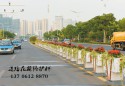 深圳将营造大尺度山林花海景观 建设30条花卉景观大道