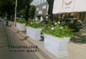深圳拟2019年底全市建成30条以上的“花卉景观大道”